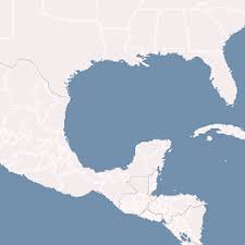 Image result for Rhytachne robusta