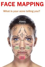 Face Mapping What Your Skin Says Acupressure Reflexology
