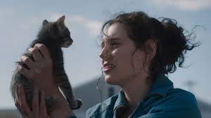 Talking With William Cusick of WELCOME TO NOWHERE