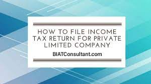 A limited liability company (llc) is an entity created by state statute. How To File Income Tax Return For Private Limited Company Bis Company Registration India Financial Legal Consultant