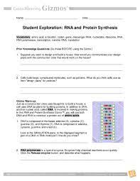 Collision theory student guide by maria donohue 8850 use the gizmo to answer the following questions: Pdf Student Exploration Rna And Protein Synthesis Michael Estes Academia Edu