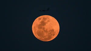 Trend Google: luna rosa 2026