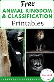 Free Animal Kingdom And Classification Printables Homeschool Giveaways Animal Classification Animal Kingdom Animal Science