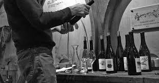 Producer salt of the earth. Vine Trail Domaine Labet
