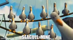 Hallmark Keepsake Christmas Ornament 2018 Year Dated, Disney/Pixar Finding  Nemo Mine! Mine! Mine! Seagulls With Sound : Amazon.Ca: Home