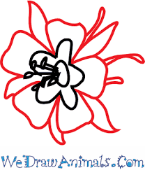Pin On Drawing
