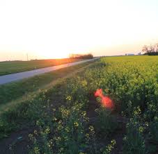 A northern autonomous province of serbia. Vojvodina Aktuelle News Bilder Nachrichten Welt