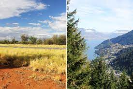 In general terms, australia is red dusty desert with a coastal fringe of greenery. Australia Vs New Zealand Everything Is Aussome