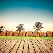 Have You Been Investing In Wood Hay And Stubble What Will Happen When Your Works Are Tested By Fire Click Names Of Jesus Stubble Daily Devotional
