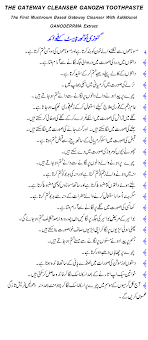 There are 32 standard program features to choose from. Pregnancy Test At Home With Toothpaste In Urdu Captions Imajinative
