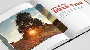 Kramer tries to get elaine's company to publish his coffee table book. A New Coffee Table Book By Busch Just In Time For Earth Day By Judith Davis Medium