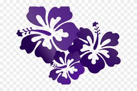Hibiscus Flower Cartoon Purple Flower Vector Png Transparent Png 640x480 2456460 Pngfind Free cliparts that you can download to you computer and use in your designs. purple flower vector png transparent