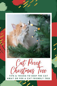 Let's dive into it this guide on how to keep your cats away from. How To Keep Cats Out Of Your Christmas Tree