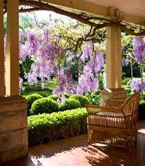 Outdoor By Shanley Fults Wisteria Garden Dream Garden Backyard