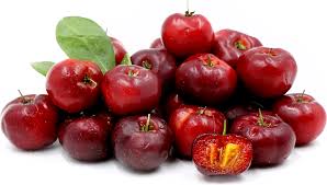 Used in jellies, jams, freezes without losing its vitamin c content. Barbados Cherry Aceorla Guyana Cherry Tree