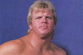 The minnesota wrecking crew was originally a professional wrestling tag team that was formed by gene and lars anderson but since then has featured a number of wrestlers who wrestled under the anderson family name despite not being blood related. 3lxqfyrzdaktkm