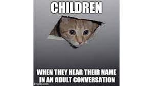 Don't miss out on these. Check Out These Funny Cat Memes To Help You Through Quarantine Film Daily