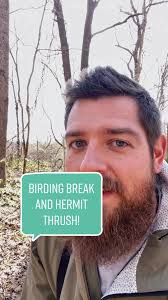 Birding Break: Hermit Thrush Sighting