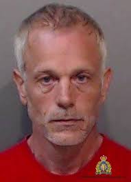 Lower Mainland man charged with 12 sex offences