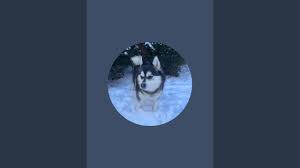 Adventure Life Nova is live!