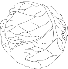 Check out some of our favorite lettuce coloring pages. Lettuce Coloring Pages Best Coloring Pages For Kids