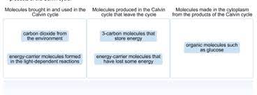 Lavazza coffee machines, lavazza classy mini, classy mini, espresso point, lavazza ep, espresso, dark coffee, office machines, moka pot, carmencita. Chapter 8 Flashcards Quizlet