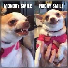 Happy Friday 😍😂 MONDAY SMILE FRIDAY SMILE