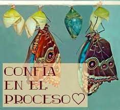 Pin De Adriana Munoz En Mensajes Morpho Azul Frases Mariposas Imagenes De Mariposas
