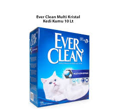 En Kaliteli Kedi Kumu Markalari Ve Cesitleri Kedikumu Org