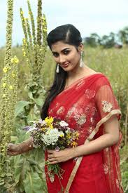 Image result for pooja hegde hot photoshoot