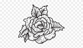 Select from premium rose drawing of the highest quality. Blooming Rose Head Sketch Icon Flower Flower Drawing Transparent Background Free Transparent Png Clipart Images Download