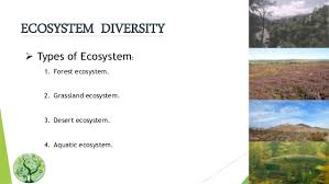 Biodiversity Its Types