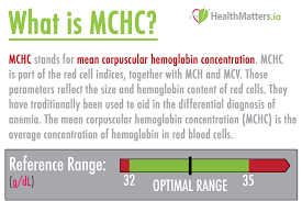 What The Heck Is Mchc Healthmatters Io Lab Results Explained