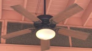 Regency ceiling fans have been in this business since 1946 and they are offering fans, light kits most of the regency ceiling fans are simple but replete with quality including marquis and mx. Roblox Hunter Coastal Breeze Regency Mx Excel Ceiling Fans In A Gas Station R Mart Subway Combo