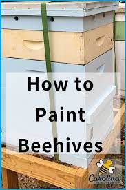We did not find results for: How To Paint A Beehive Protect Your Wood Carolina Honeybees Painted Bee Hives Bee Keeping Bee Hive