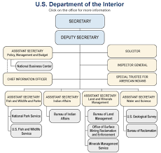 54 Skillful Bia Organizational Chart