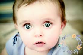 Carrie Cox Photography