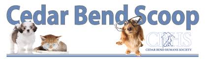 The shelter will also be looking for some of our volunteer support from the community to help work slots during the event. This Blog Is Affiliated With The Cedar Bend Humane Society In Waterloo Iowa To Share Pet Friendly Resources Adoption Stories And Cbhs Events Our Mission P E T S Place Educate Teach Shelter Cbhs Is