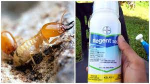 Masalah besar timbul jika rumah anda diserang anai anai. How To Kill Remove Termites Cara Racun Musnahkan Anai Anai Youtube