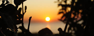 Every Goodbye Makes The Next Hello Closer The World Is Full Of Magic