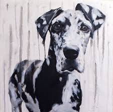 Akc great dane puppies hide this posting restore restore this posting. Large Black And White Harlequin Great Dane Dripped Drippy Etsy Dog Art Dog Paintings Great Dane