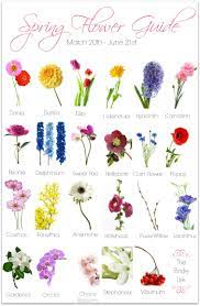 Too much colour will drown out the beauty of the individual flowers. Spring Wedding Flower Guide The Bride Link Wedding Flower Guide Flower Guide Spring Flowers
