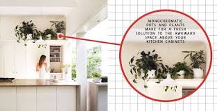 Plants Above Kitchen Cabinets Google Search Above Kitchen Cabinets Mid Century Modern Exterior Round Mirror Bathroom