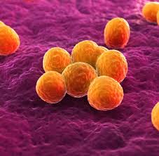 Dieses zeichen steht für den infokorb. Antibiotika Resistente Keime Die Superseuche Droht Welt