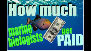 Per year the average salary for a marine biologist is $47,057 per year in the united states. How Much Marine Biologists Get Paid Youtube