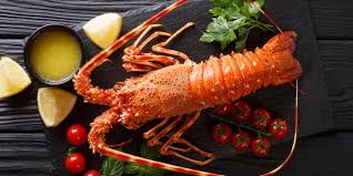 نتیجه جستجوی لغت [lobster] در گوگل