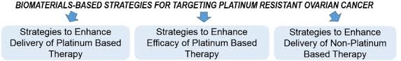 The Application Of Biomaterials In The Treatment Of Platinum Resistant Ovarian Cancer Levy 2019 Chemmedchem Wiley Online Library