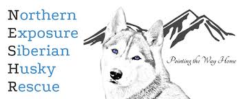 And remember to check with your local shelters, many. Northern Exposure Siberian Husky Rescue Husky Adoption Foster Care