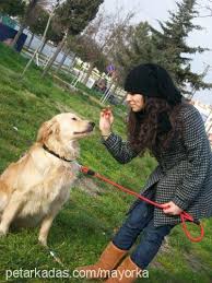 Kisirlastirma Ve Ciftlestirme Alinti Petarkadas Com