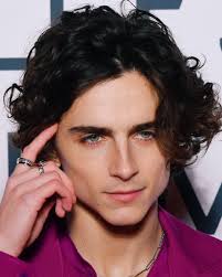 If you do not allow these cookies, you will experience less targeted advertising. Timothee Chalamet At Little Women Premiere In Paris